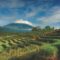 Picture by Cak Pan Magelang is 'daerah' with the potential tourism trap