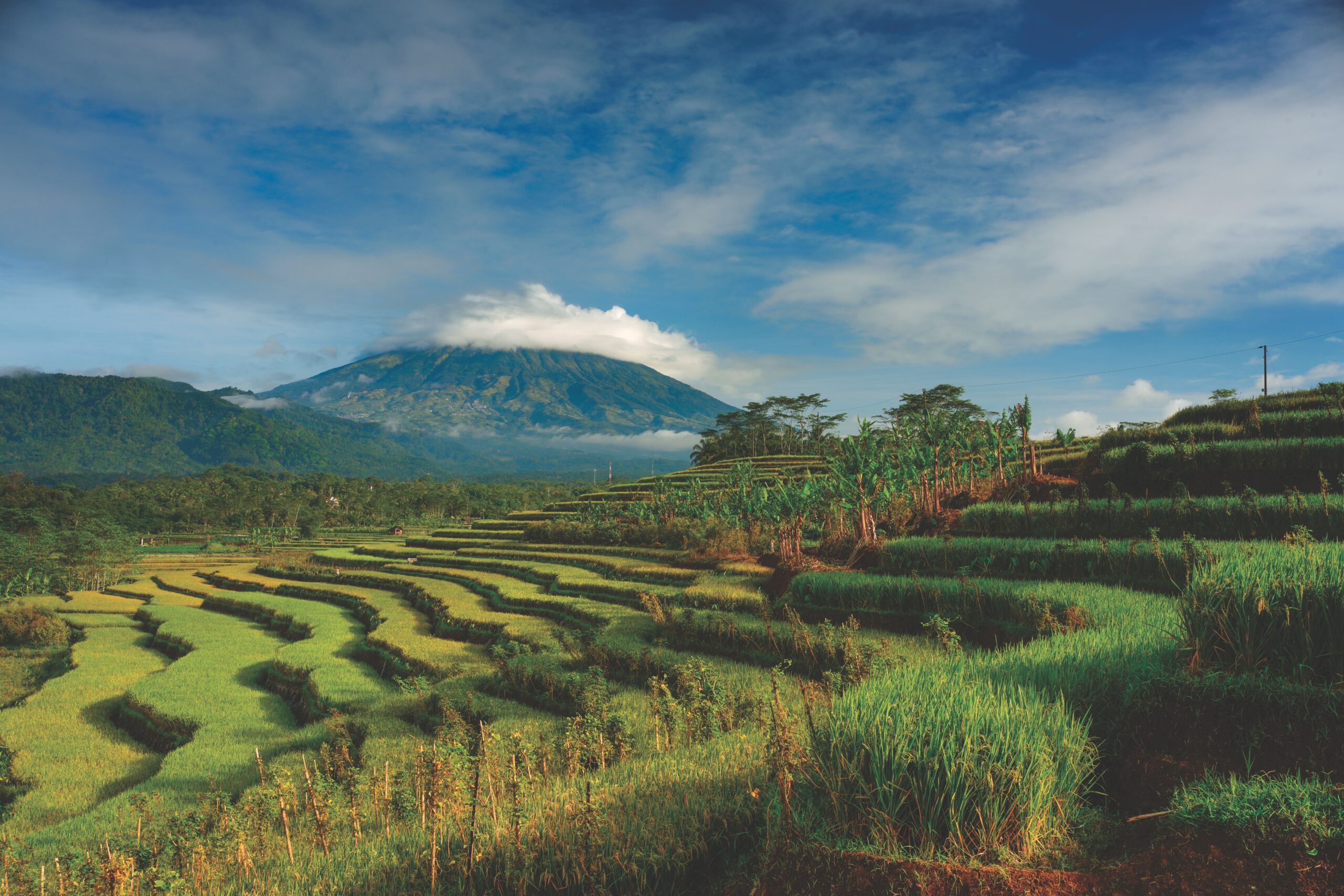 Picture by Cak Pan Magelang is 'daerah' with the potential tourism trap